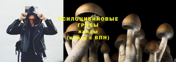 а пвп мука Алексеевка