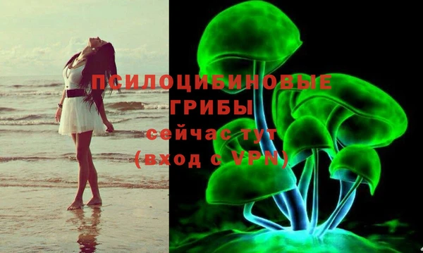спиды Алексин