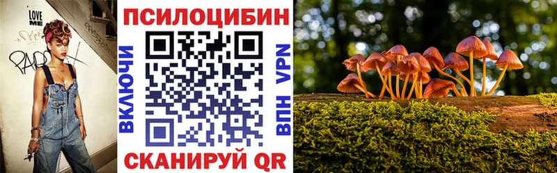 Галлюциногенные грибы Psilocybe  наркота  Истра 